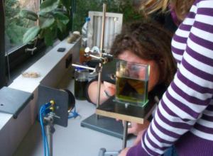 Foto: Schulbiologiezentrum (Quelle)