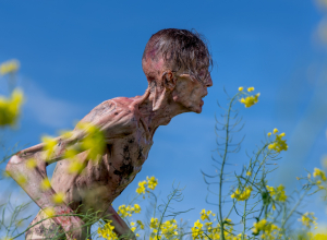 Foto: © 2024 CTMG, Inc. All Rights Reserved.