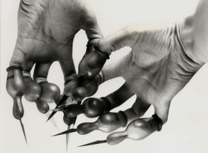 Foto: Renate Bertlmann