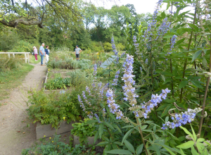 Foto: Kloster Mariensee