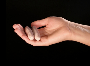 Foto: Sabine Müller