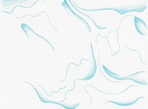 Foto: Sabine Müller