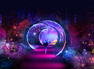 Foto: Christmas Garden GmbH