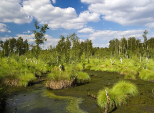 Foto: Bernhard Volmer